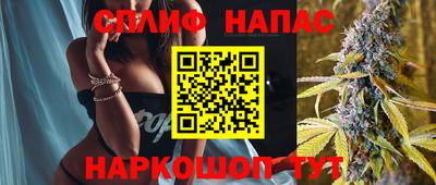 прущие грибы Конаково