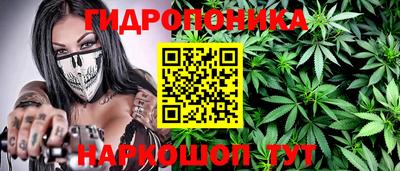 прущие грибы Конаково