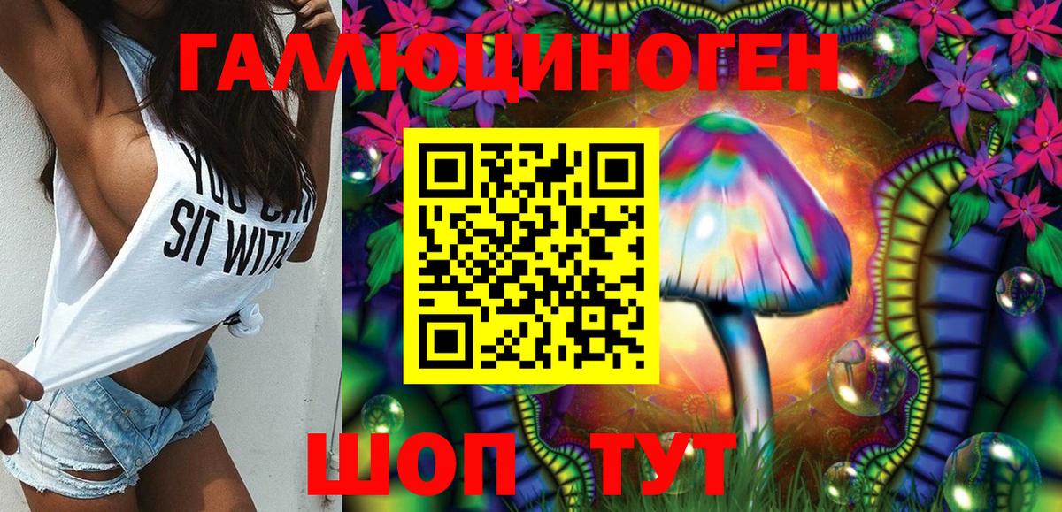 Псилоцибиновые грибы Psilocybe Ялта
